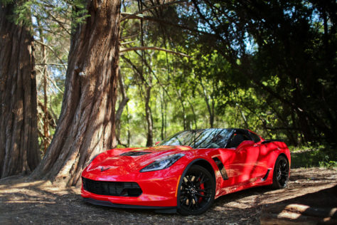 MG5_8010