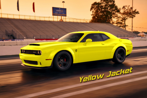 Demon-YellowJacket