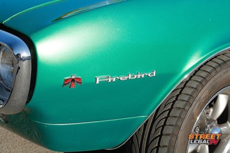 edsbird-008