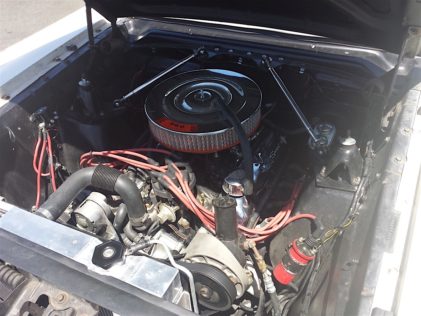 81
