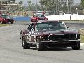 Historic Trans-Am 842