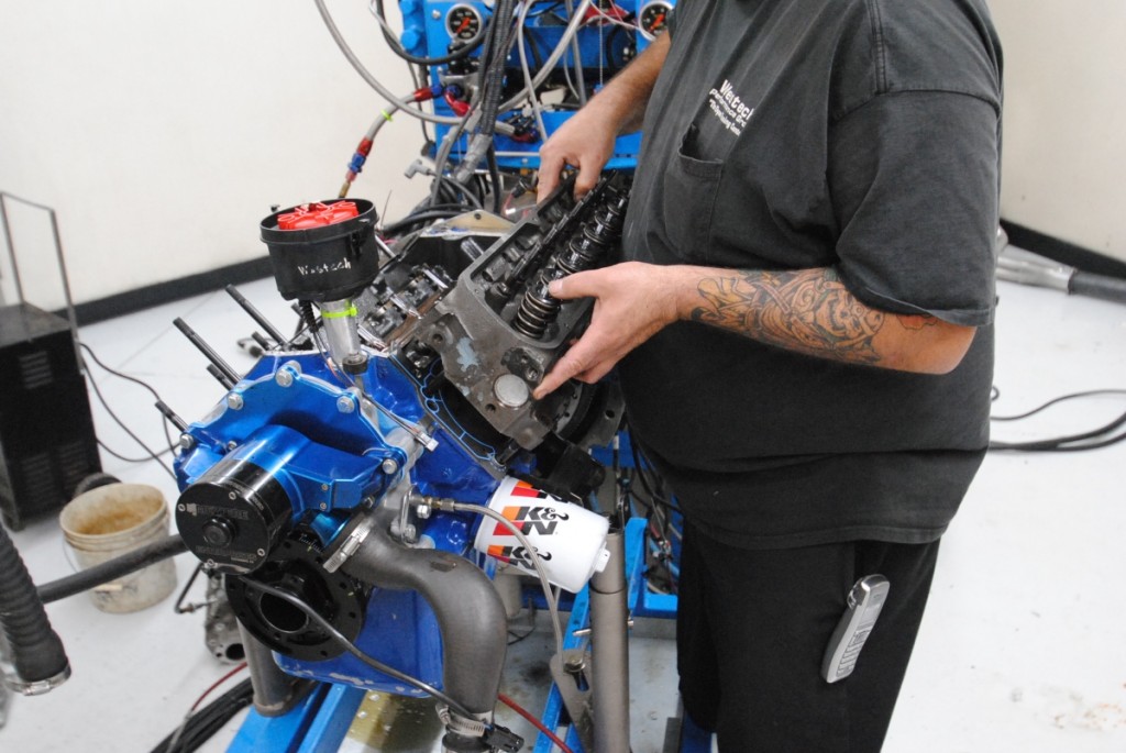 Replacing the factory heads, cam and intake on your 5.0L can produce a serious street terror, especially if you add a little nitrous to the mix. 