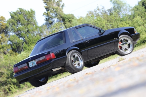 Jack-Lyons-Turbo-Fox-Feature-174