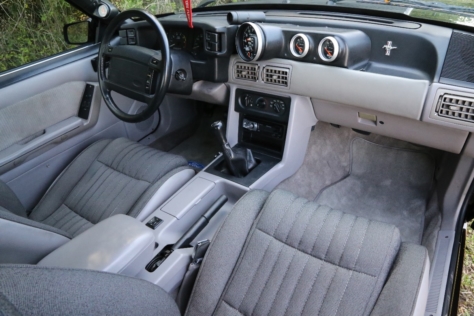 Jack-Lyons-Turbo-Fox-Feature-273