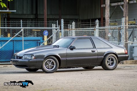 Edds-Fox-100