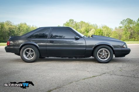 Edds-Fox-101
