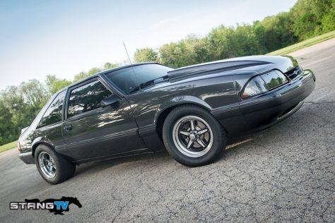 Edds-Fox-102