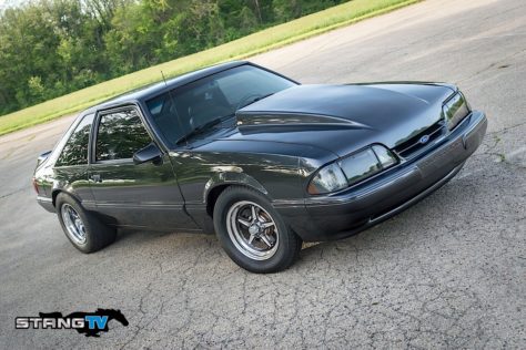 Edds-Fox-103