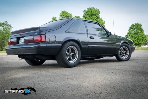 Edds-Fox-105