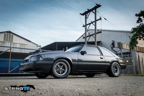 Edds-Fox-108