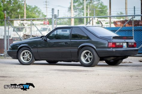 Edds-Fox-110