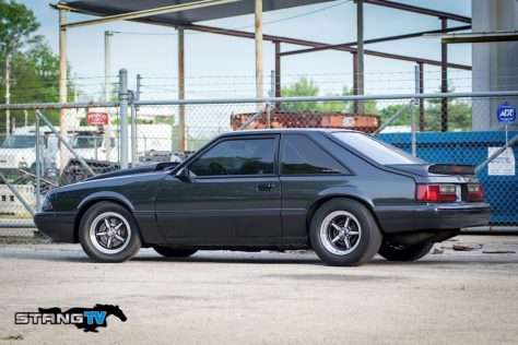 Edds-Fox-111