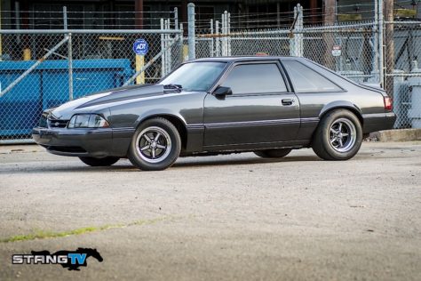 Edds-Fox-113