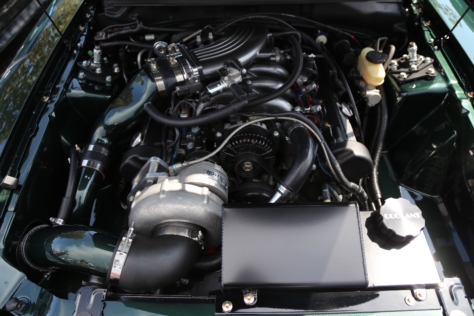 massive-meet-n-greet-kicks-off-mustang-week-2017-in-style-0028