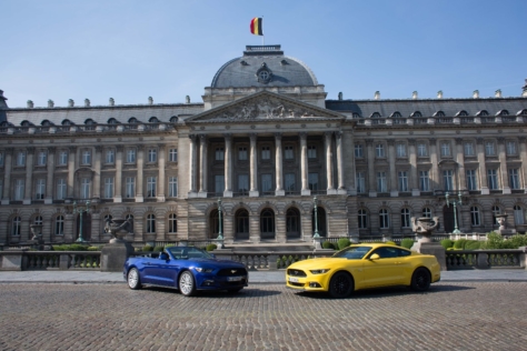 Mustang-Belgium