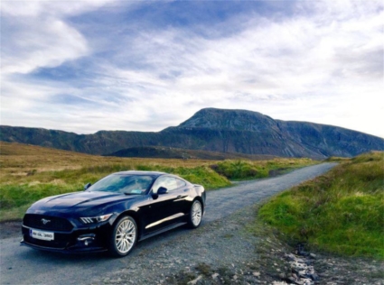 Mustang-Ireland