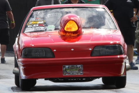 no-mercy-8-photo-extra-from-south-georgia-0584