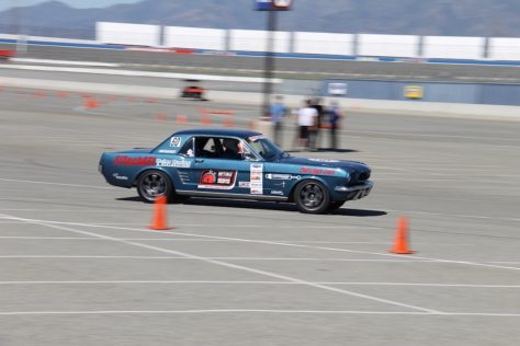 IMG_6153