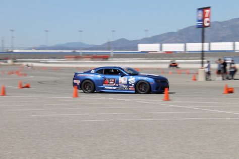 IMG_6203
