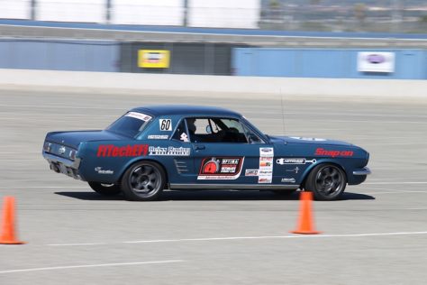 IMG_6219