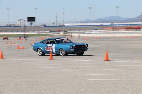 IMG_6225