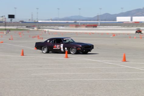 IMG_6251