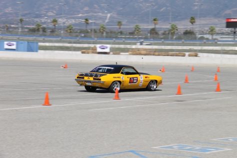 IMG_6261