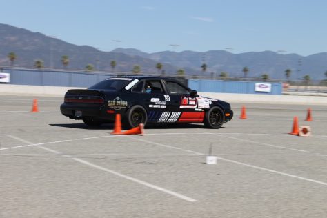 IMG_6320