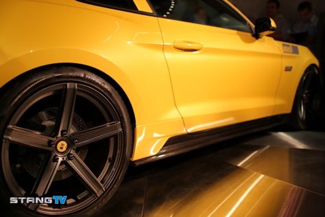 MG5_0738