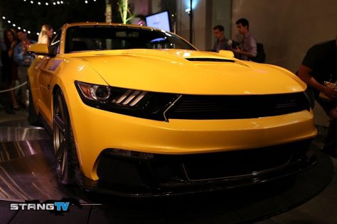 MG5_0799