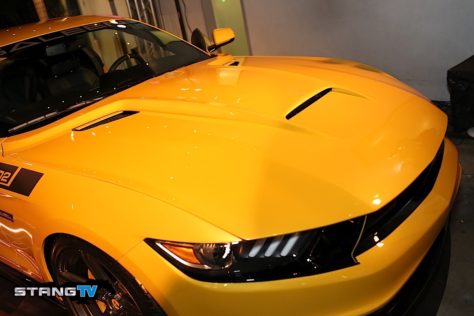 MG5_0948