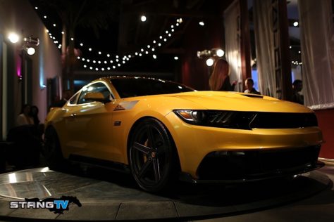MG5_0963