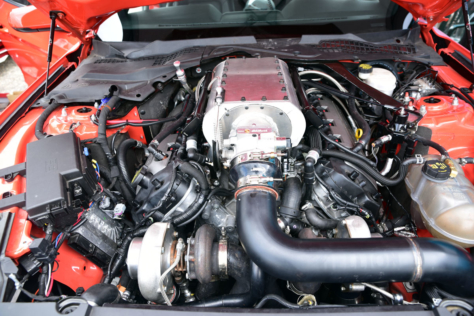 DSC2370